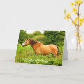 WALISER-GEBIRGSpony Karte (Gelbe Blume)