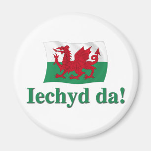 Waliser Iechyd DA (Beifall!) Magnet