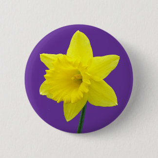 Waliser-Narzisse - II Button