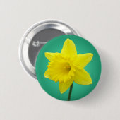 Waliser-Narzisse - IV Button (Vorne & Hinten)