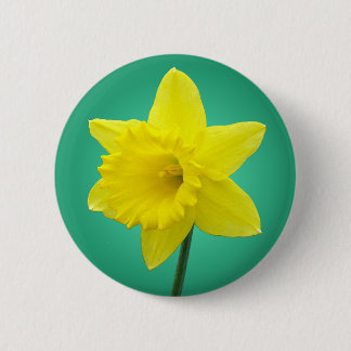 Waliser-Narzisse - IV Button