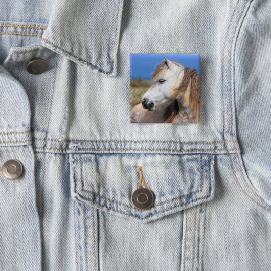 Waliser-Pony Button (Beispiel)