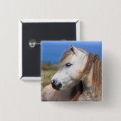 Waliser-Pony Button (Vorne & Hinten)