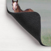 Waliser-Pony-Mausunterlage Mousepad (Ecke)