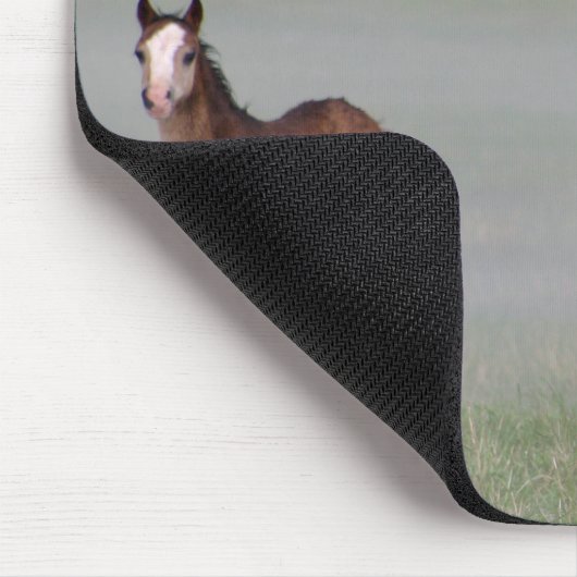 Waliser-Pony-Mausunterlage Mousepad (Ecke)