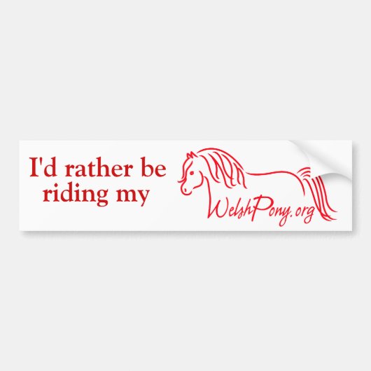 Waliser-Pony u. Pfeiler-Gesellschaft von Amerika Autoaufkleber (Vorne)