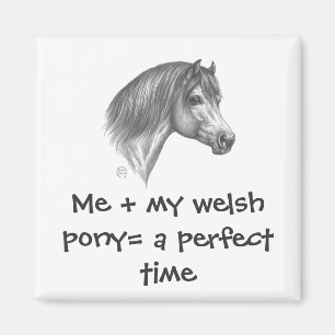 Waliser-Pony u. Pfeiler-Gesellschaft von Amerika Magnet