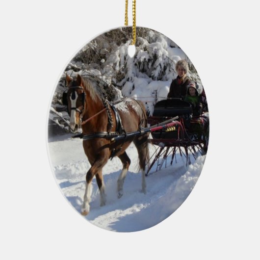 Waliser-Pony u. Pfeiler-Gesellschaft von Keramikornament (Rechts)