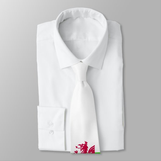 Waliser-Rugby-Grand Slam! Krawatte 2008 (Gebunden)