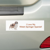 Waliser-SpringerSpaniel Autoaufkleber (Auf Auto)
