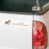 Waliser-SpringerSpaniel Autoaufkleber (Auf Lkw)