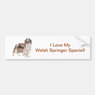 Waliser-SpringerSpaniel Autoaufkleber