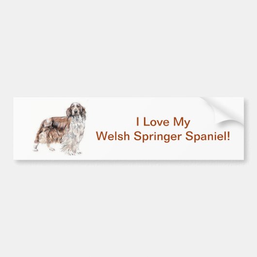 Waliser-SpringerSpaniel Autoaufkleber (Vorne)