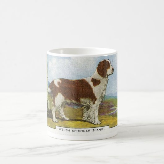 Waliser-SpringerSpaniel Kaffeetasse (Mittel)