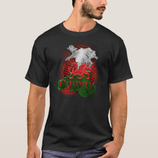 Waliser-T-Shirt Schmutz mit Drachen und Karte von T-Shirt