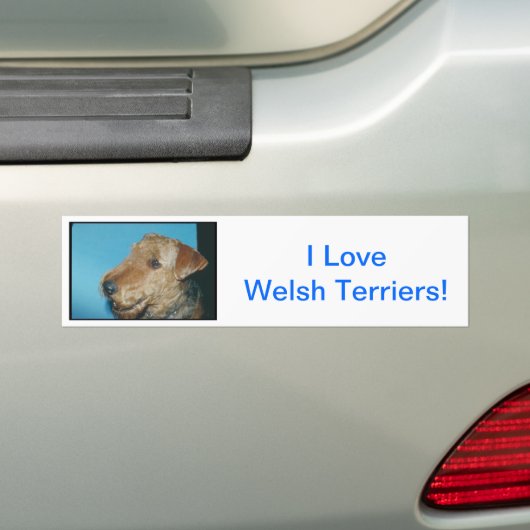 Waliser Terrier Autoaufkleber (Auf Auto)