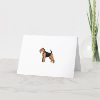Waliser Terrier