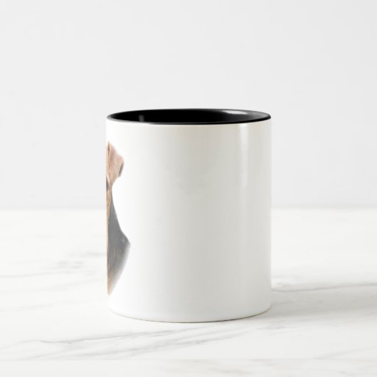 Waliser Terrier Zweifarbige Tasse (Mittel)