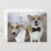 WALISERcorgi-BRAUT UND BRÄUTIGAM Postkarte (Vorne/Hinten)
