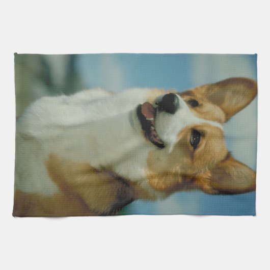 Walisercorgi-Geschirrtuch Handtuch (Horizontal)