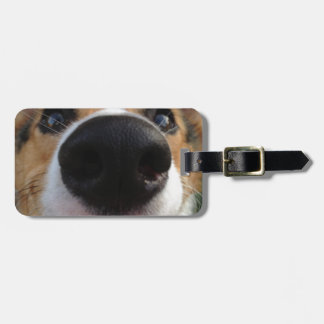 Walisercorgi-Hundenasen-Sammlung Gepäckanhänger