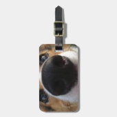 Walisercorgi-Hundenasen-Sammlung Gepäckanhänger (Vorderseite vertikal)