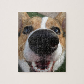 Walisercorgi-Hundenasen-Sammlung Puzzle