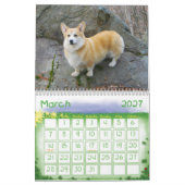 Walisercorgi-Kalender 2009 Kalender (Mär 2027)