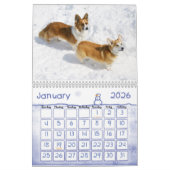Walisercorgi-Kalender 2013 Kalender (Jan 2026)