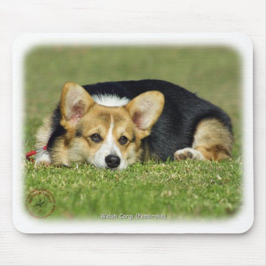 WaliserCorgi (Pembroke) Mousepad (Vorne)