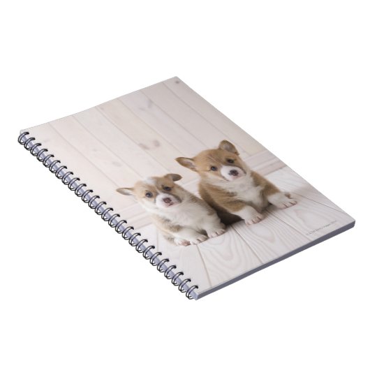 Walisercorgi-Welpen Notizblock (Rechte Seite)