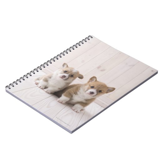 Walisercorgi-Welpen Notizblock (Linke Seite)