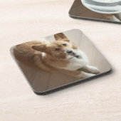 WaliserPembroke Corgihund, der auf hölzernem Boden Getränkeuntersetzer (Linke Seite)