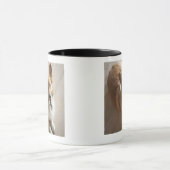 WaliserPembroke Corgihund, der auf hölzernem Boden Tasse (Zentrum)