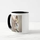 WaliserPembroke Corgihund, der auf hölzernem Boden Tasse (Vorderseite Links)