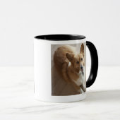 WaliserPembroke Corgihund, der auf hölzernem Boden Tasse (VorderseiteRechts)