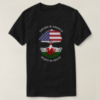 Walisisch-amerikanische Wurzeln in Wales keltische