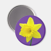 Walisisch Daffodil - II Magnet (Vorderseite/Rückseite)