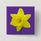 Walisisch Daffodil - II - Square Button (Vorderseite)