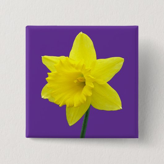 Walisisch Daffodil - II - Square Button (Vorderseite)