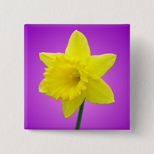 Walisisch Daffodil - III Button (Vorderseite)