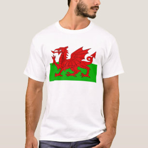 Walisisch / Wales Flag - Cymru Hochwertiges Bild T-Shirt