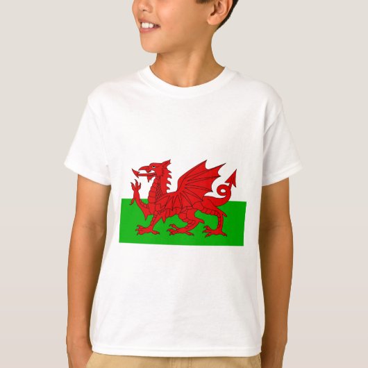 Walisisch / Wales Flag - Cymru Hochwertiges Bild T-Shirt (Vorderseite)