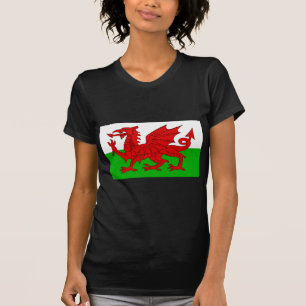 Walisisch / Wales Flag - Cymru Hochwertiges Bild T-Shirt