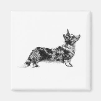 Walisische Cardigan Corgi Magnet
