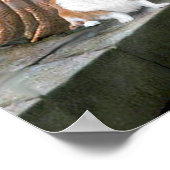 Walisische Corgi 2 - Die Akkolade Poster (Ecke)