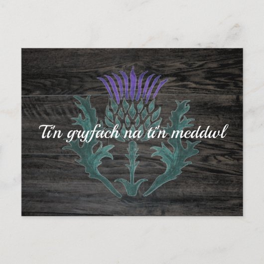 Walisische Cymraeg-Förderung Postkarte (Vorderseite)