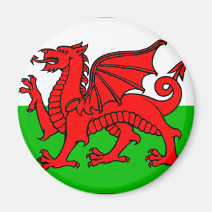 walisische Flagge Magnet