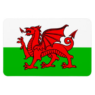 Walisische Flagge mit Rotem Drachen Magnet