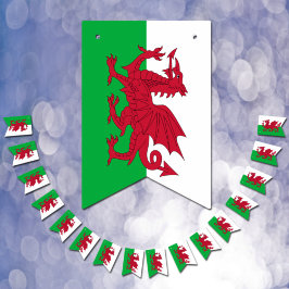 Walisische Flagge & Party Wales Banners / Cymru Ho